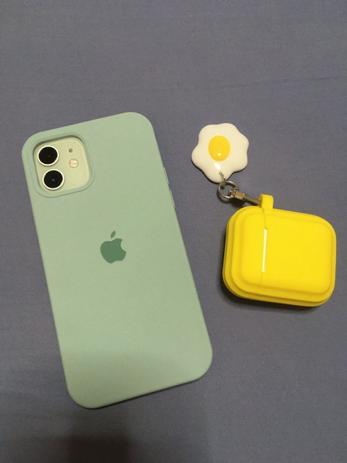 coques iPhone